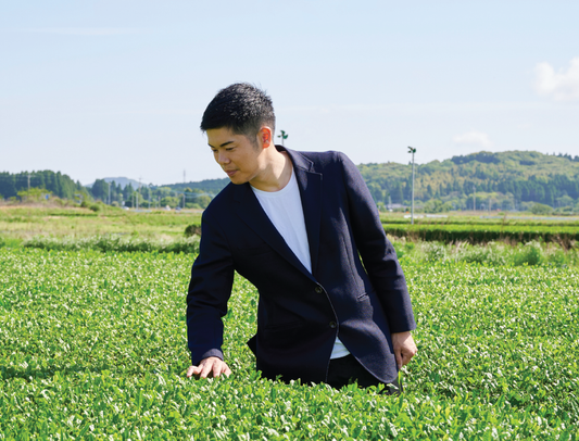 The Rich Heritage of Japanese Tea Ceremonies - Chiran tea