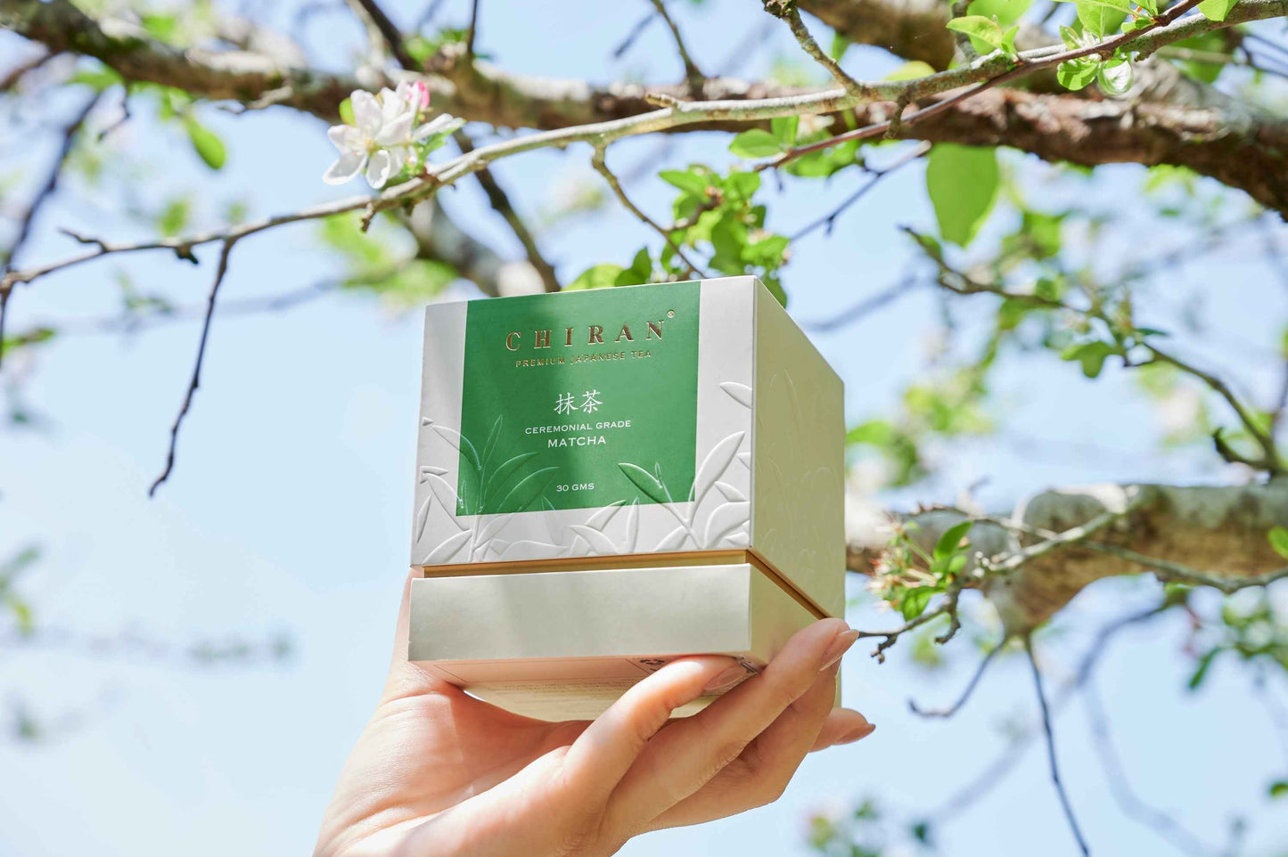 Chiran Ceremonial Grade Matcha Green Tea