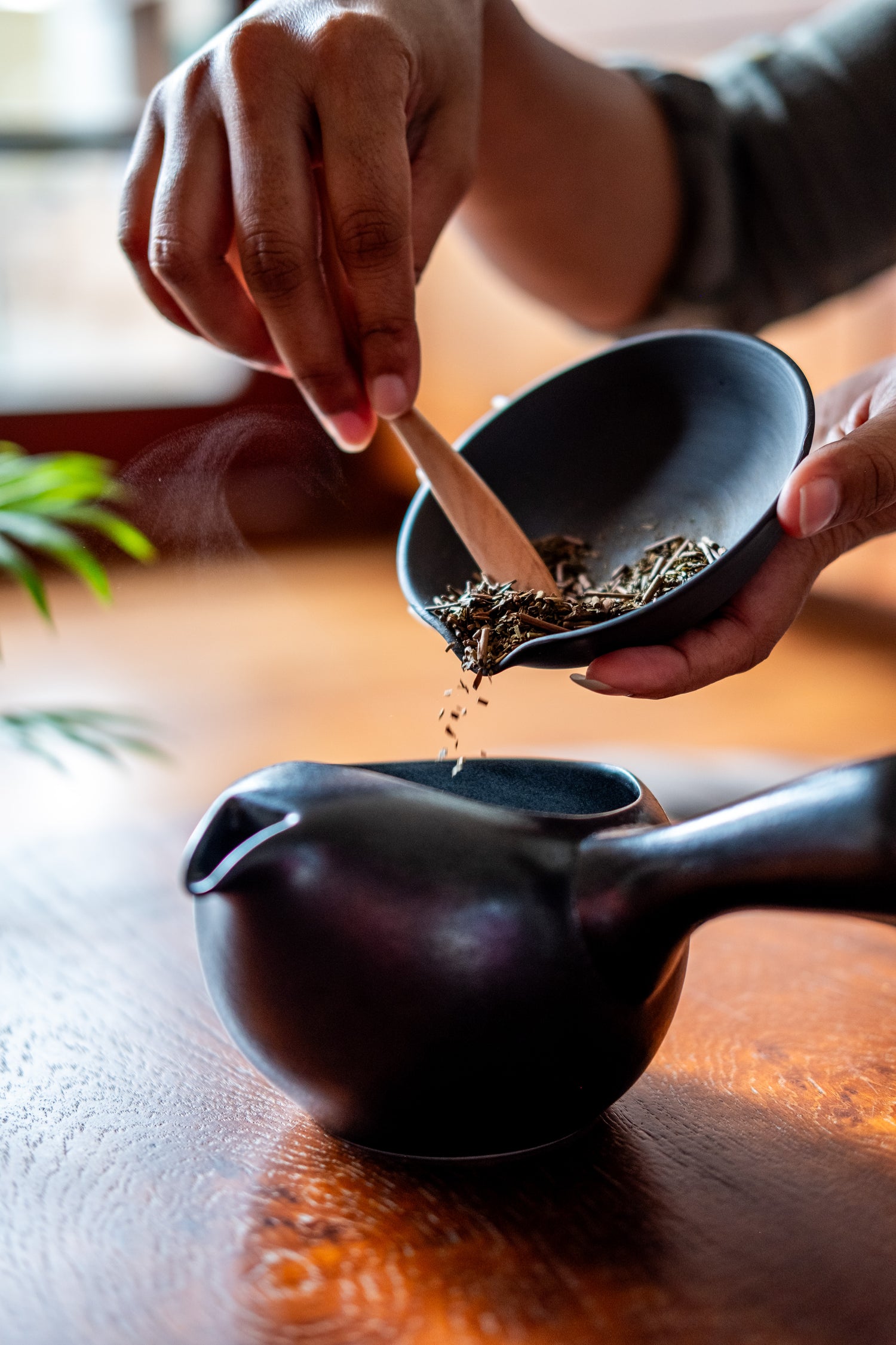 Premium Loose Leaf Tea - Chiran tea