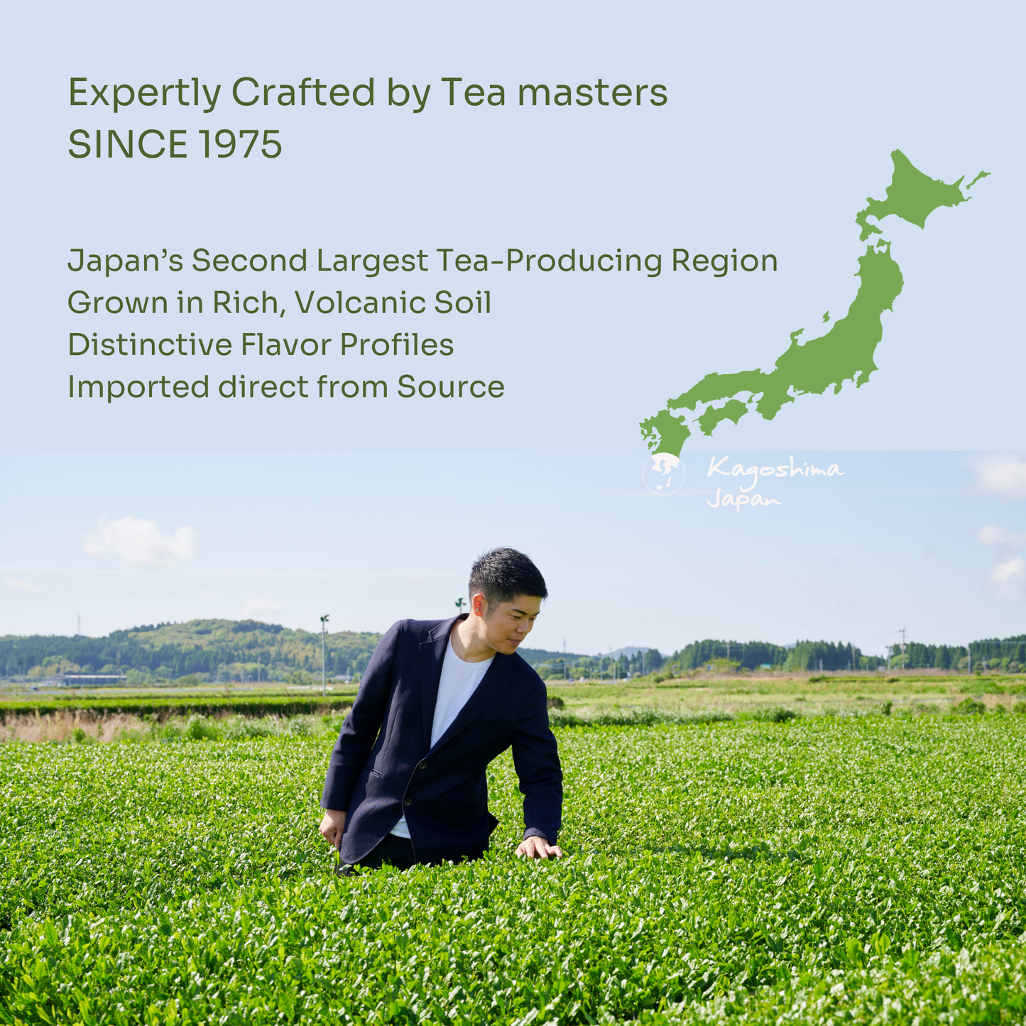 Matcha latte 200g pack