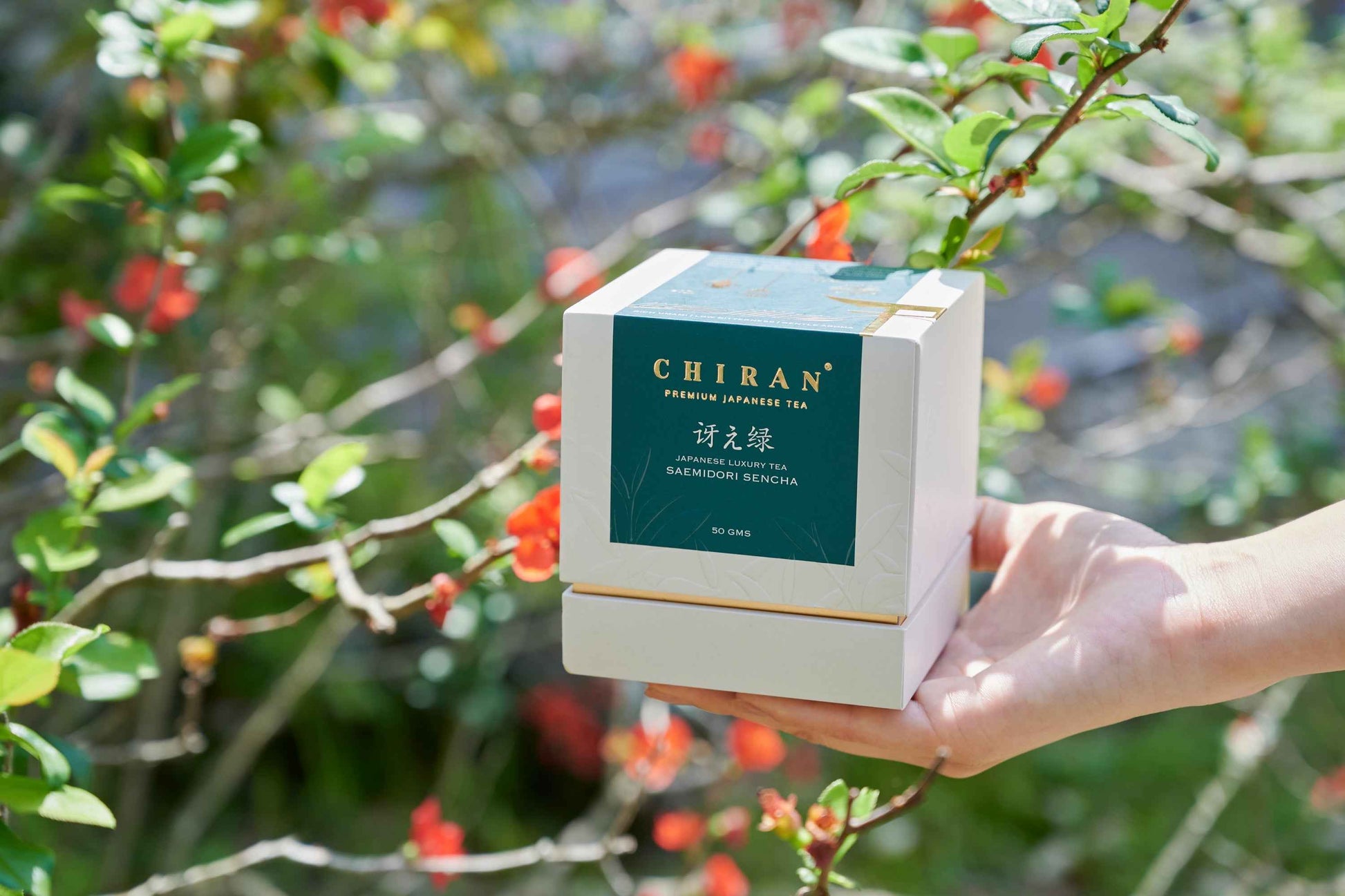 Chiran Saemidori Sencha Premium Green Tea